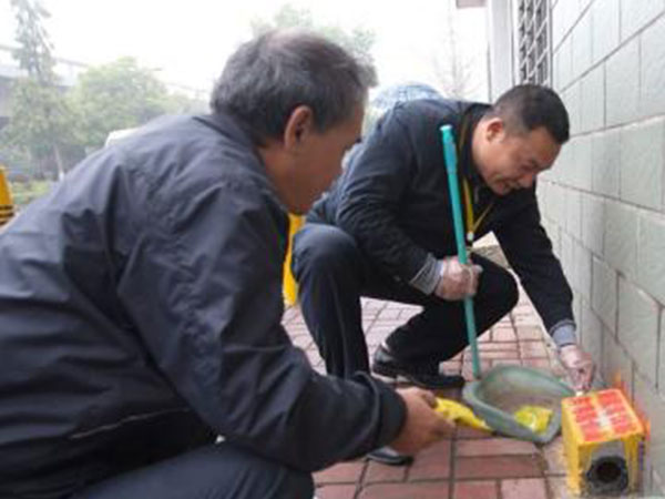 溫江除蟲公司分享家庭滅蚤方法