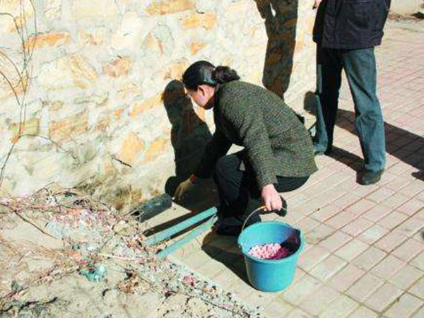 成都滅鼠如何解決地鐵鼠患