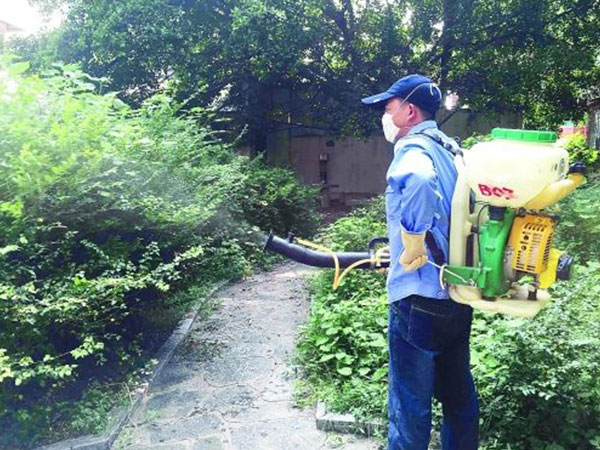 溫江城市下水道如何滅鼠與防鼠